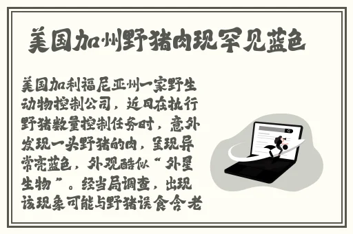 星空传媒XK8015律政俏佳人